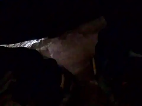 Orlao25cm online show from March 2026 09:36:02 PM