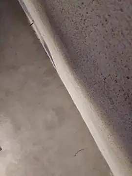 Orlao25cm online show from April 2026 02:14:02 PM