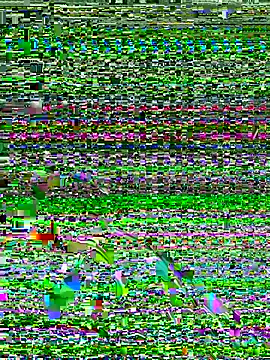 Snapshot of Dev2k22 chatting on December 2025 06:14:01 PM Dev2k22 online show from December 2025 06:14:01 PM