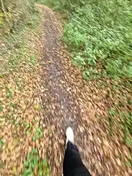 bbyxklaus online show from November 2025 12:28:01 PM