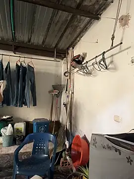 violeta365 online show from March 2026 03:28:01 PM