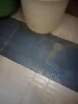 HeatableRevan online show from March 2026 01:09:02 AM