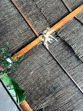 Snapshot of gitanoMad chatting on April 2026 01:53:02 PM gitanoMad online show from April 2026 01:53:02 PM