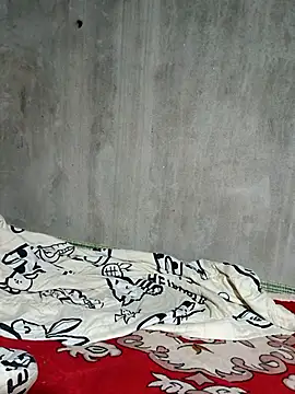 Bear bear0 online show from November 2025 03:23:02 PM