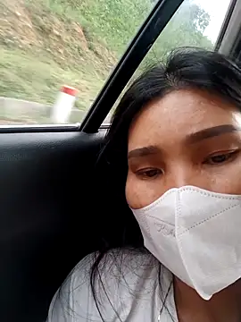 Bear bear0 online show from March 2026 08:39:01 AM