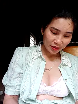 Bear bear0 online show from March 2026 02:49:01 AM