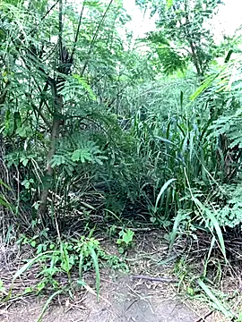 Snapshot of couplesexroom chatting on November 2025 08:03:02 AM couplesexroom online show from November 2025 08:03:02 AM