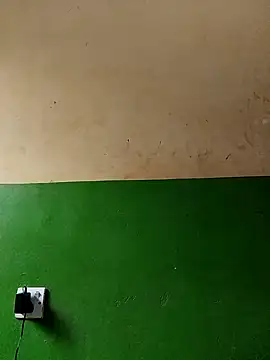 cutepussy356 online show from November 2025 06:15:02 AM