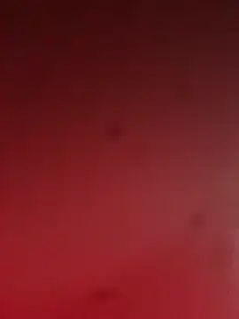 Snapshot of pedro14ARh chatting on October 2025 08:16:02 PM pedro14ARh online show from October 2025 08:16:02 PM