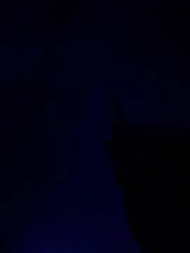 Snapshot of alfarabisami chatting on June 2026 09:03:02 PM alfarabisami online show from June 2026 09:03:02 PM
