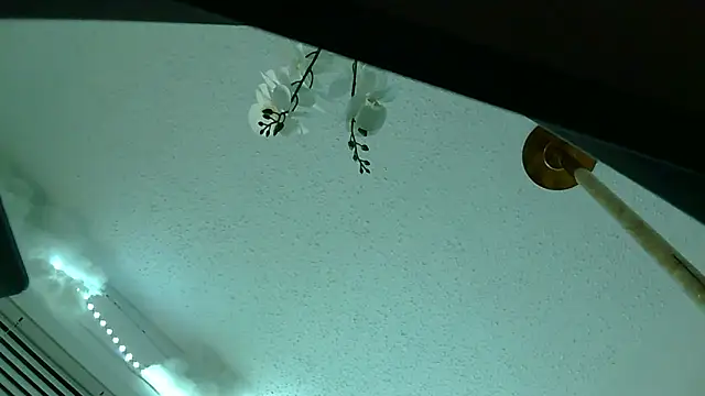 playxrated online show from April 2026 08:19:01 AM