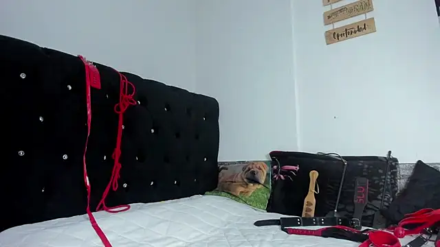 abby mullerr online show from December 2025 09:57:01 PM