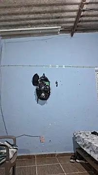 666Daemon666 online show from February 2026 07:16:02 AM