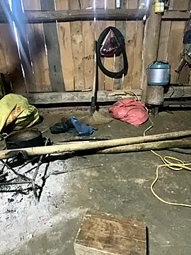 nachi-baby online show from December 2025 08:52:02 AM