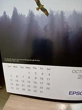 Snapshot of Kolkatacock06 chatting on October 2025 02:02:01 PM Kolkatacock06 online show from October 2025 02:02:01 PM