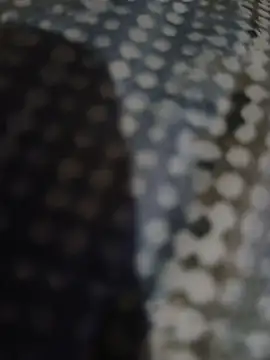 Piope1984 online show from October 2025 09:17:02 PM