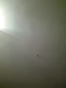 Snapshot of HarrySchwanz1000 chatting on October 2025 02:59:02 AM HarrySchwanz1000 online show from October 2025 02:59:02 AM