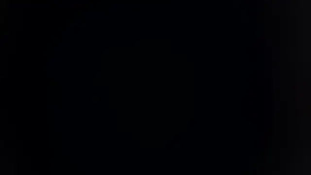 palakmishra033 online show from February 2026 04:02:02 PM