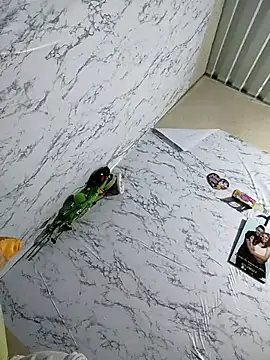 Anny 37 online show from January 2026 01:53:02 AM