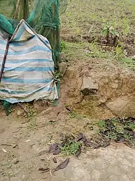 doggy-00 online show from April 2026 11:40:02 PM