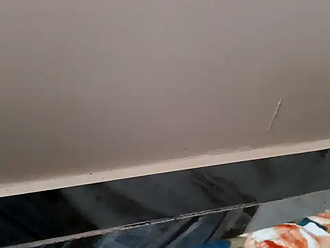 bigtelugubhama online show from February 2026 06:37:01 AM