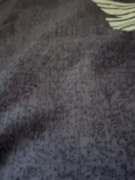 bigtelugubhama online show from February 2026 07:18:02 AM