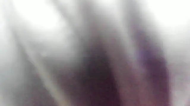 wild best online show from February 2026 03:19:02 PM