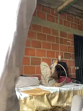 wild best online show from February 2026 01:22:01 PM