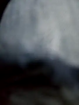 negro2828 online show from October 2025 10:58:01 PM