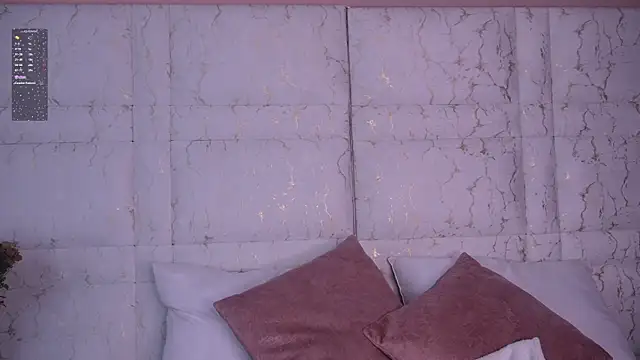 Snapshot of Idriill chatting on November 2025 09:05:02 PM Idriill online show from November 2025 09:05:02 PM