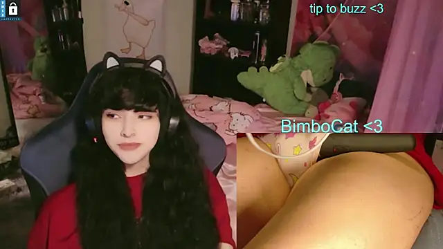 Snapshot of BimboCat chatting on June 2026 08:07:02 PM BimboCat online show from June 2026 08:07:02 PM