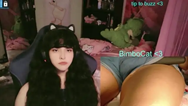 Snapshot of BimboCat chatting on June 2026 02:35:01 AM BimboCat online show from June 2026 02:35:01 AM