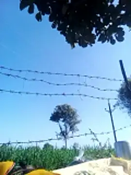 Sangita k online show from December 2025 05:36:02 AM