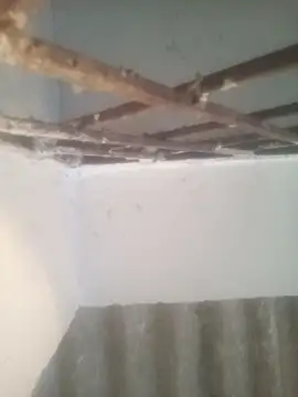 Pallu Asha online show from March 2026 01:22:01 AM