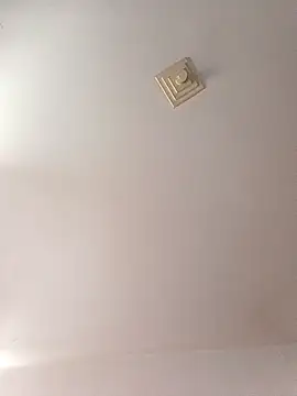 Ricardotarado online show from November 2025 01:01:02 PM