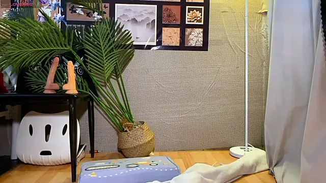 0xiaosu0 online show from January 2026 03:32:01 AM