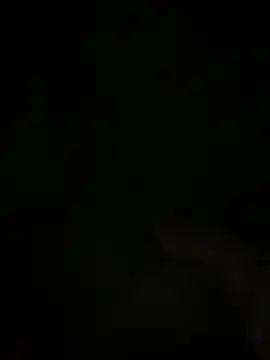 Manfredini607452 online show from November 2025 12:49:01 AM