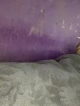 hotman29 online show from November 2025 11:06:01 PM