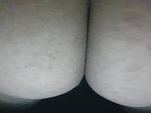 Snapshot of ginfer-45 chatting on November 2025 11:31:02 AM ginfer-45 online show from November 2025 11:31:02 AM