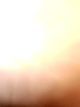 tamal2511 online show from November 2025 04:27:01 PM