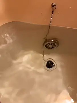 houkeiboy78 online show from December 2025 10:31:01 AM