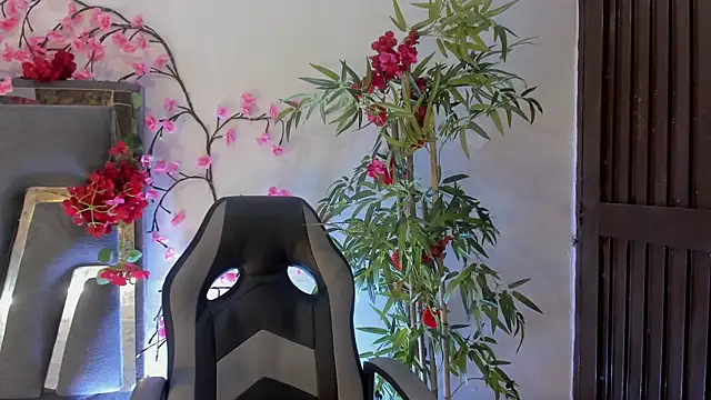 DanfneTorres online show from November 2025 07:36:03 PM