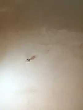 NiaLong21  online show from January 2026 09:58:01 AM