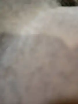 Telonet online show from April 2026 10:14:02 AM