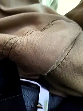 its  aaru online show from November 2025 08:13:02 AM