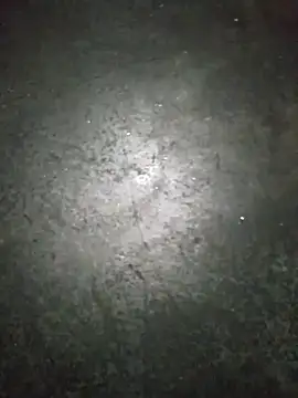 Snapshot of WillfulVideo chatting on November 2025 09:52:02 AM WillfulVideo online show from November 2025 09:52:02 AM