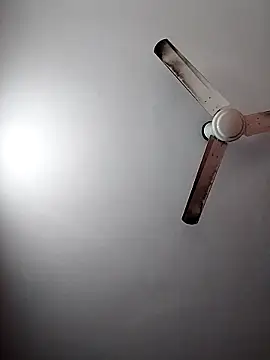 Snapshot of Keya-009 chatting on March 2026 04:36:01 AM Keya-009 online show from March 2026 04:36:01 AM