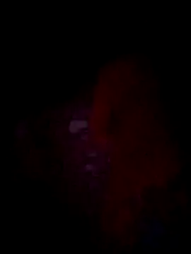 jacka 305 online show from November 2025 10:36:02 AM