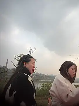 tiantiandao online show from December 2025 08:30:01 AM