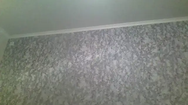 Snapshot of antosha555 chatting on November 2025 06:05:02 AM antosha555 online show from November 2025 06:05:02 AM